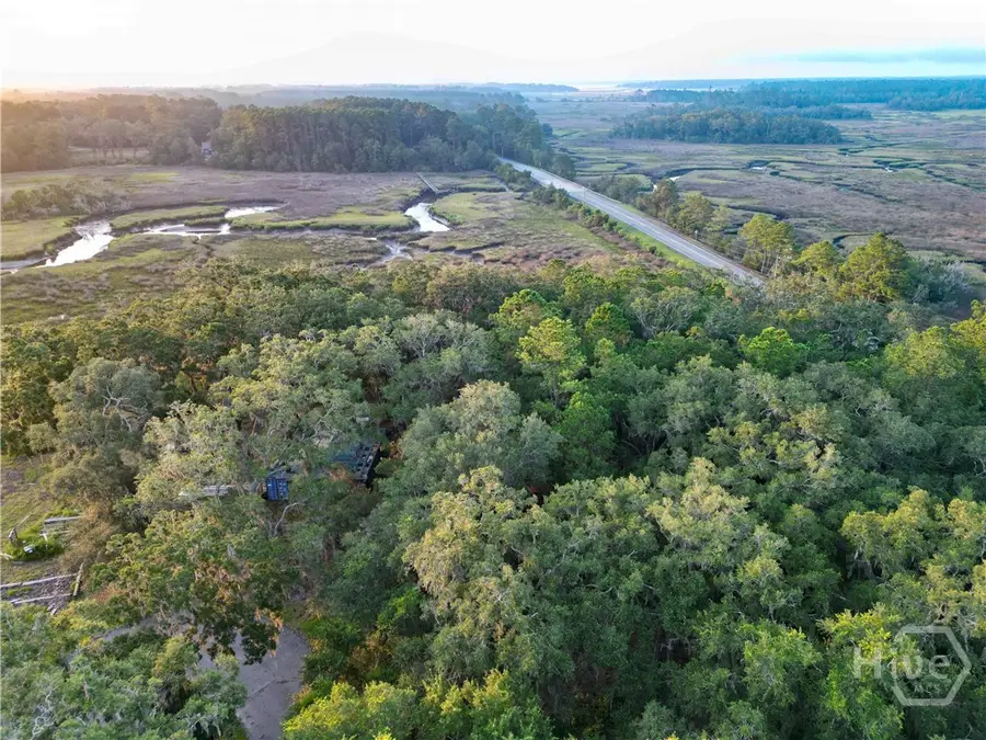 Lot #3 Retreat Lane Ne, Townsend, GA 31331 - #3