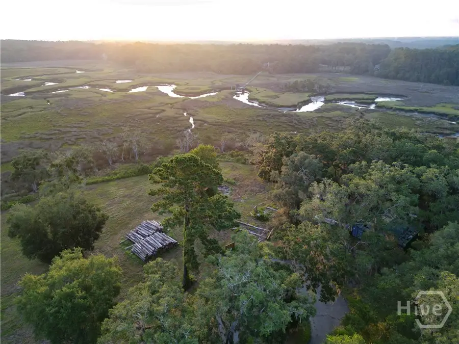 Lot #4 1189 Retreat Lane Ne, Townsend, GA 31331 - #3