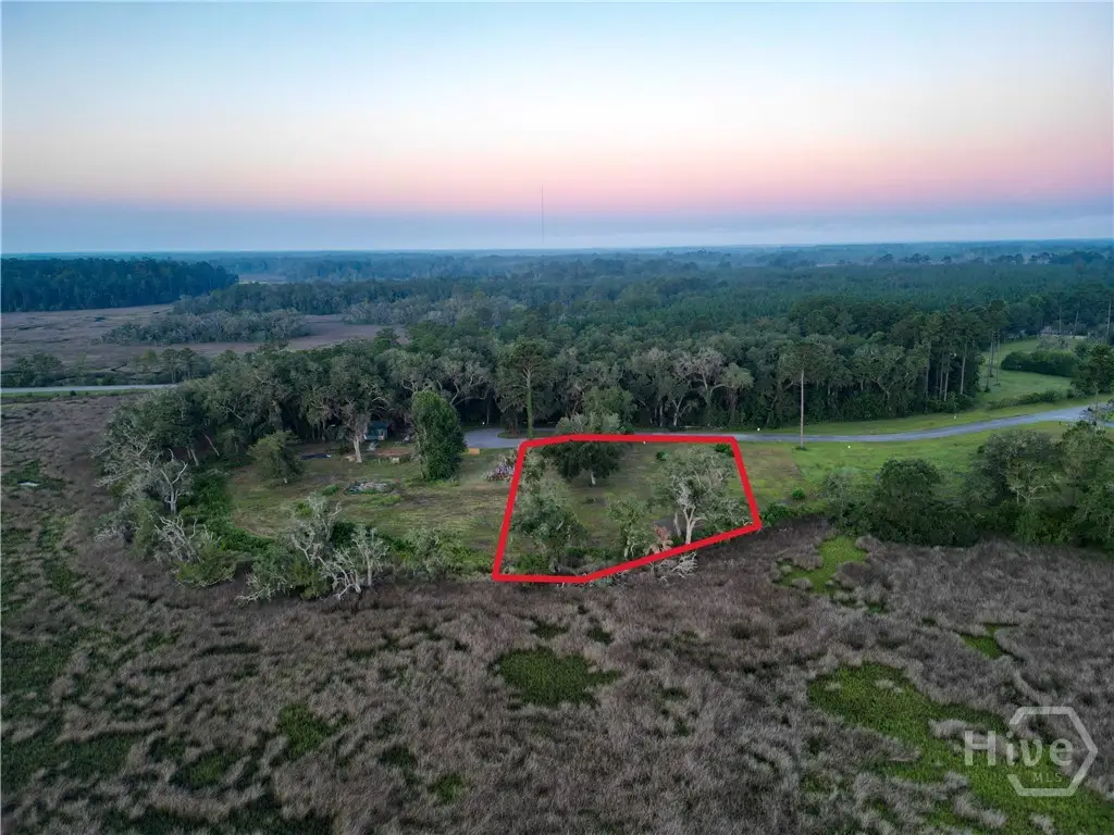 Lot #5 1177 Retreat Lane Ne, Townsend, GA 31331 - #1