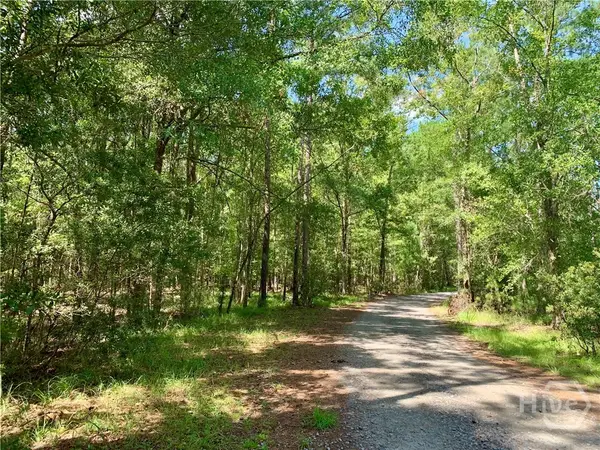 Lot 016 Lake No No Road, Midway, GA 31320