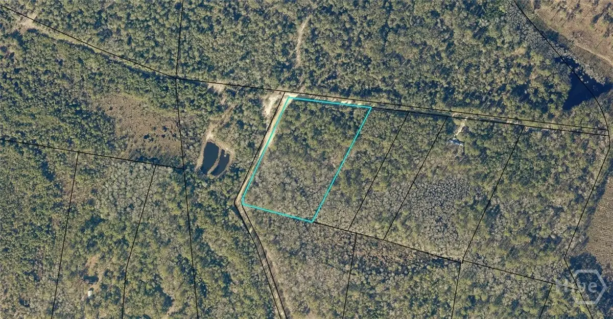0 Canoochee Drive, Claxton, GA 30417 - #1