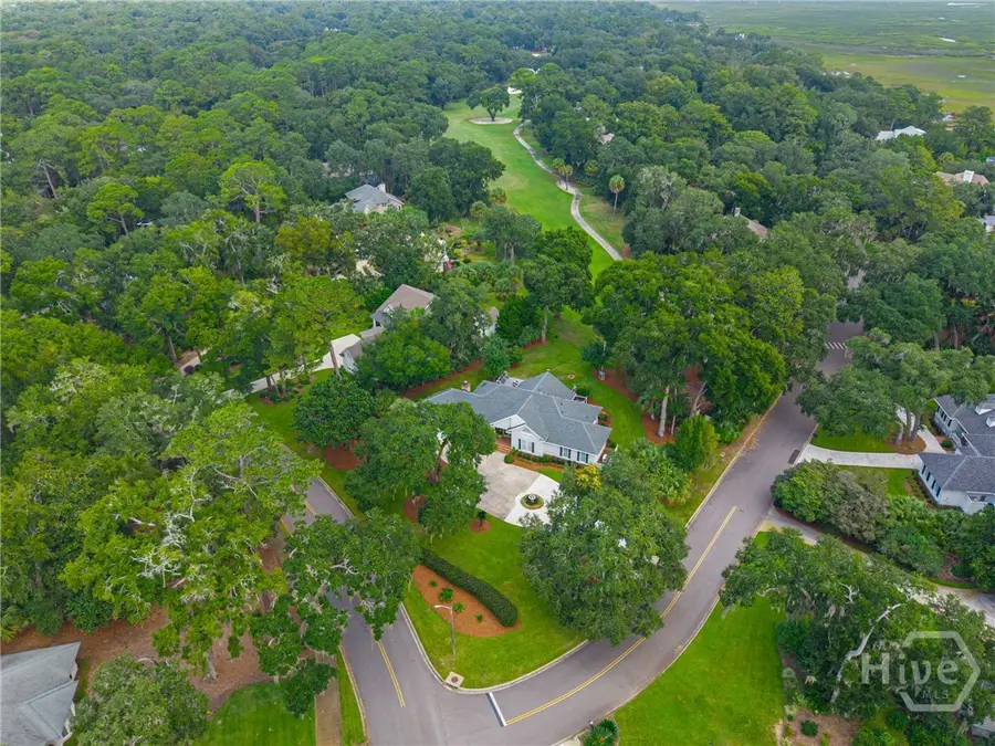 17 Middle Marsh Retreat, Savannah, GA 31411 - #3