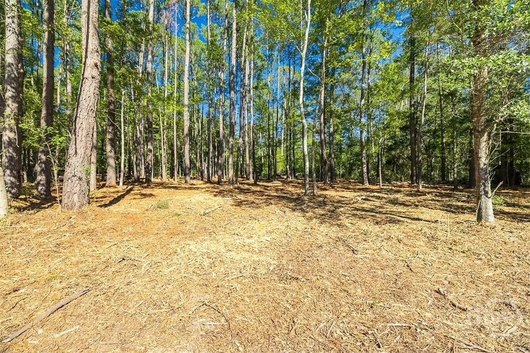 5590 Highway 17, Guyton, GA 31312 - #1