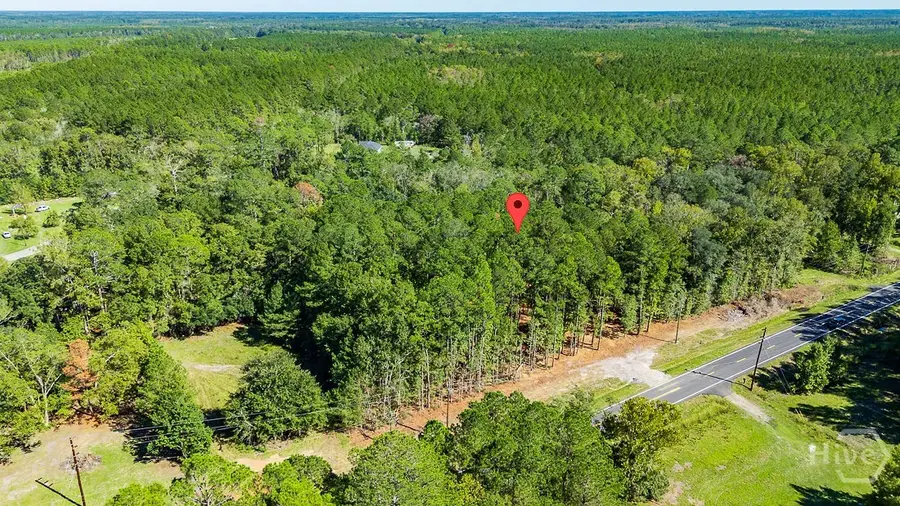 5590 Highway 17, Guyton, GA 31312 - #3