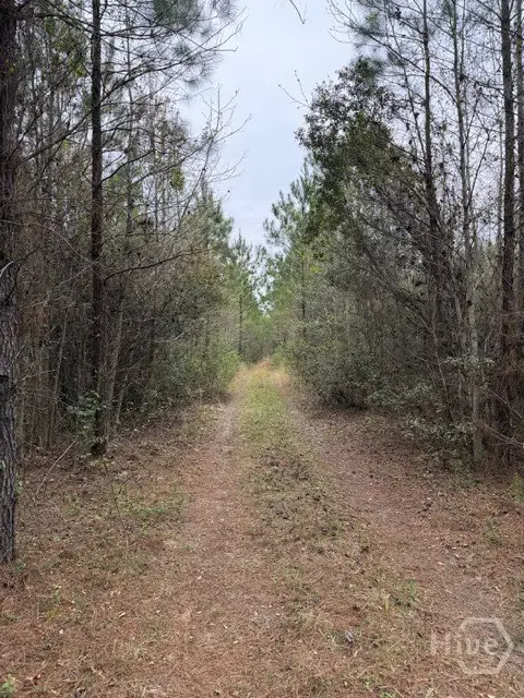 0 Fair St, Clyo, GA 31303 - #2