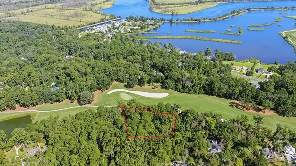 232 Myrtle Grove Lane, Richmond Hill, GA 31324