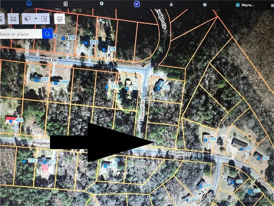 Everett Street, Mount Olive, NC 28365 - #2