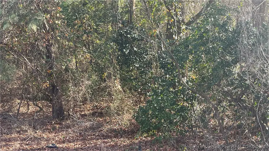 0 Robeson Street, Fayetteville, NC 28305 - #3