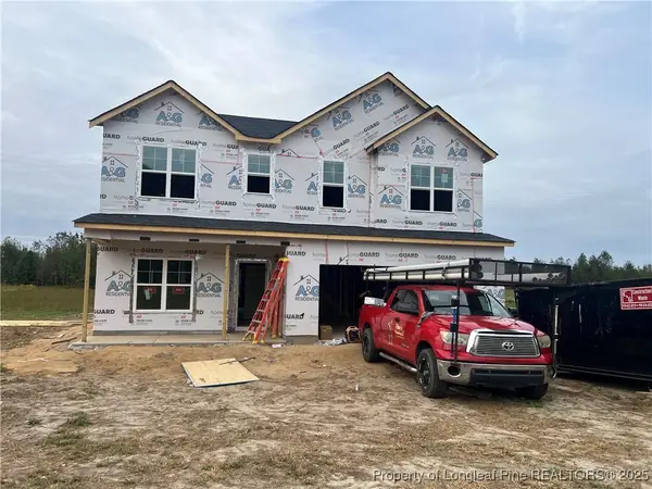 3971 Blue Springs (lot 4) Road, Red Springs, NC 28377