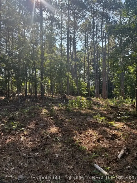 TBD Stephanie Street, Southern Pines, NC 28387 - Image #2