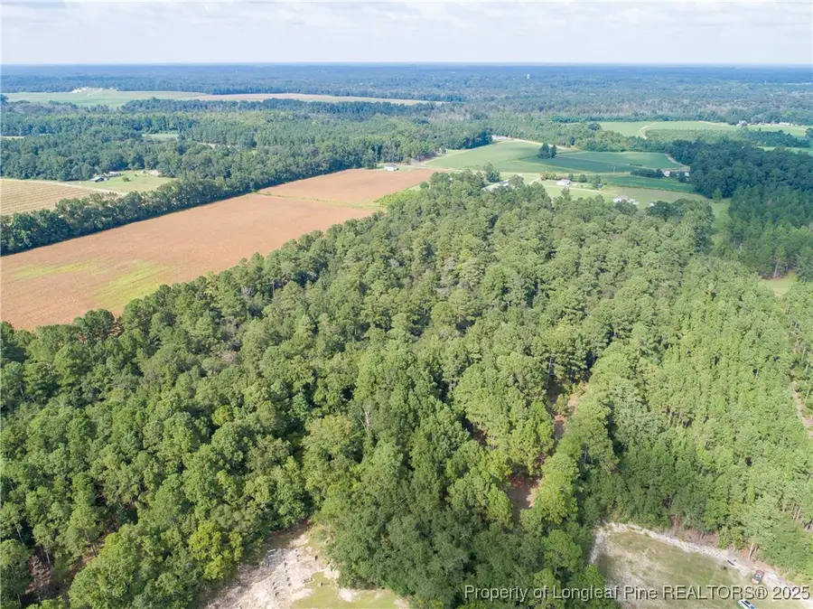 8048 Concord Church Road, Autryville, NC 28318 - Image #3