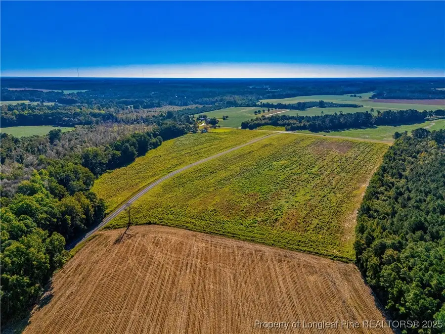 Lot 15 Daniel Mcleod Road, Red Springs, NC 28377 - Image #3