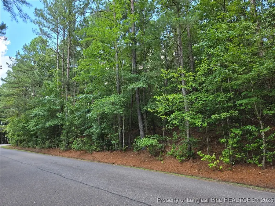 893 Loblolly Drive, Vass, NC 28394 - Image #2