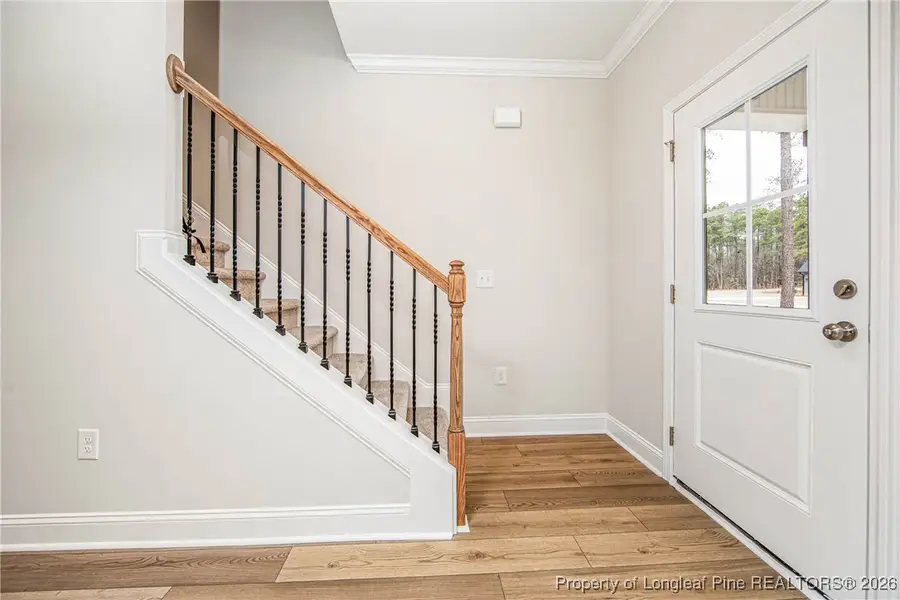 28941 Pinedale Court, Wagram, NC 28396 - #3