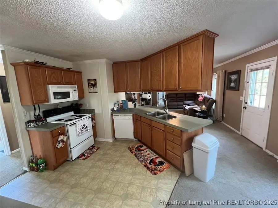 1435 E Green Springs Road, Parkton, NC 28371 - Image #3