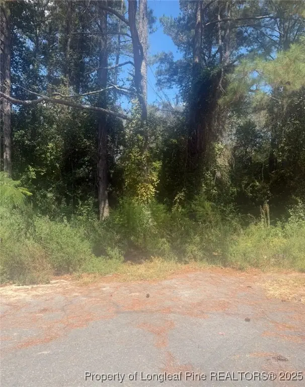 2905 Midland Court, Fayetteville, NC 28306 - Image #1