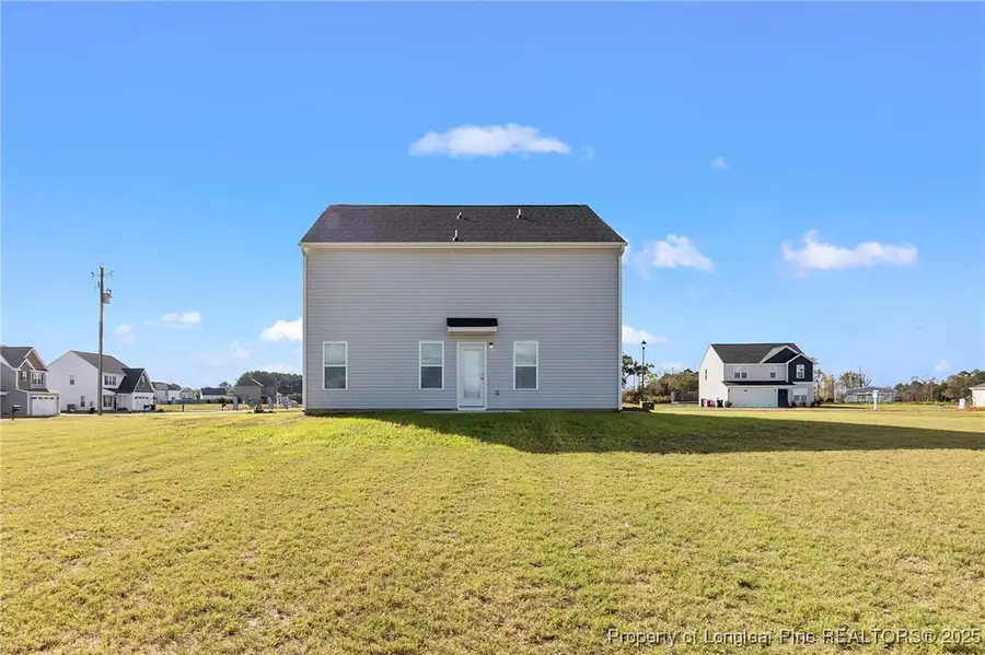 20 Buggy Top Lane, Autryville, NC 28318 - Image #2