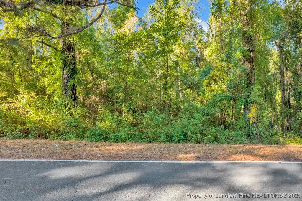 00 Walker Road, Linden, NC 28356 - #1