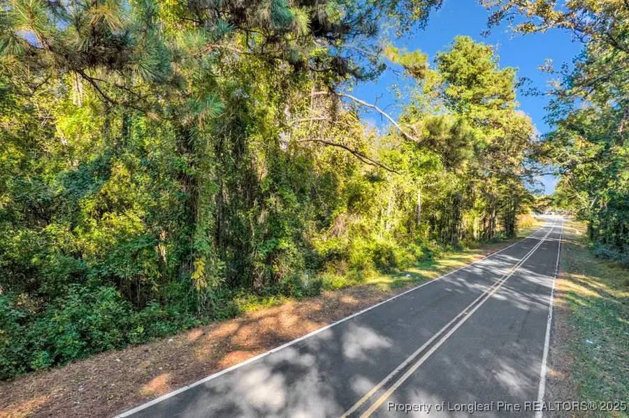 00 Walker Road, Linden, NC 28356 - #2