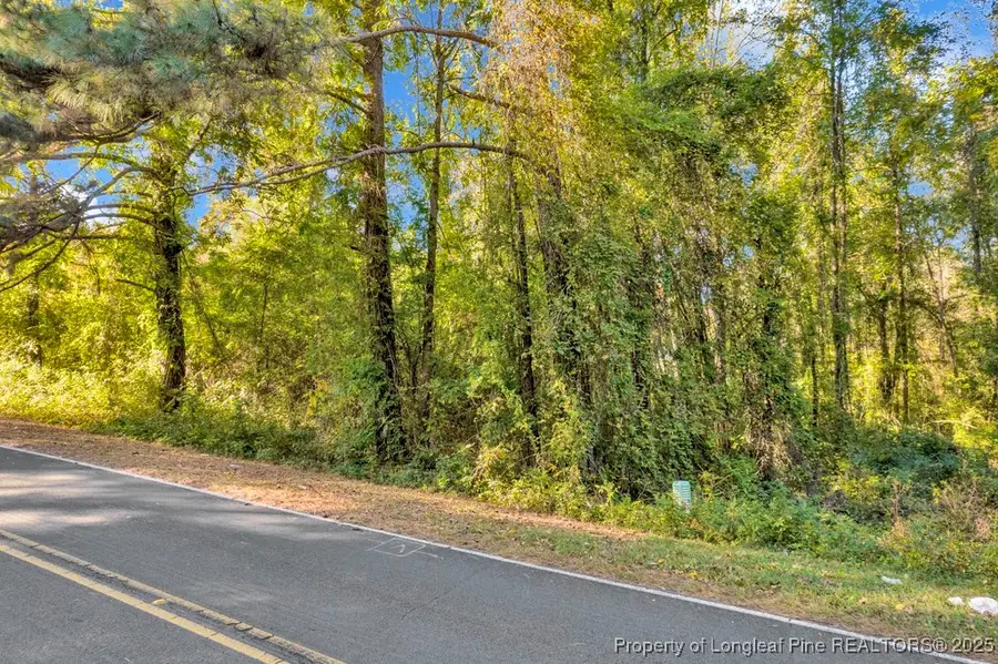 00 Walker Road, Linden, NC 28356 - #3