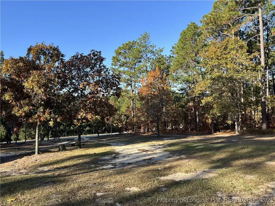 369 Evans Drive, Cameron, NC 28326 - Image #2