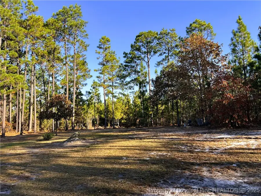 369 Evans Drive, Cameron, NC 28326 - Image #3