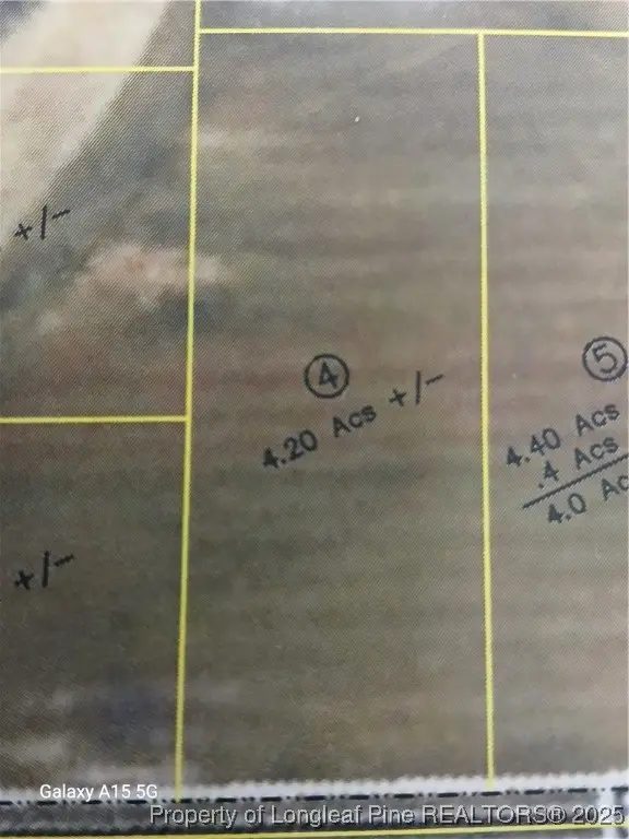 Lot 4 Buie Philadelphus Road, Red Springs, NC 28377 - Image #1