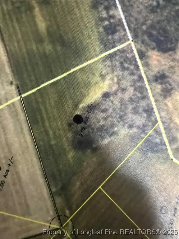 9.02 acres Buie Philadelphus Road, Red Springs, NC 28377 - Image #1