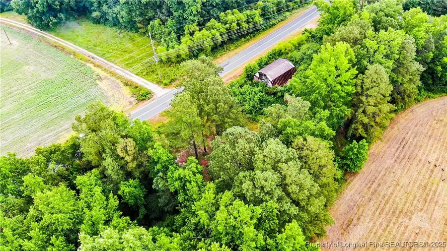 1896 & 0 Clark Road, Lillington, NC 27546 - Image #2