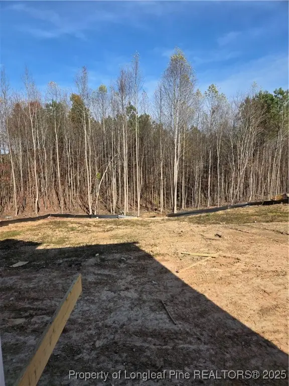 311 One Tree Hill, Sanford, NC 27330 - Image #3