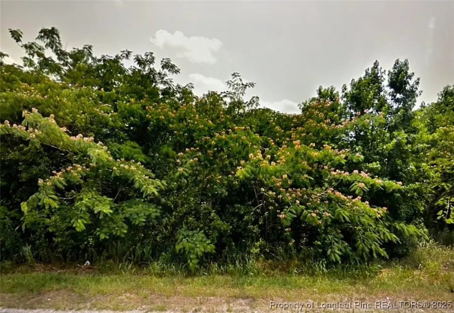 tbd S Robeson Road, Rowland, NC 28383 - #2