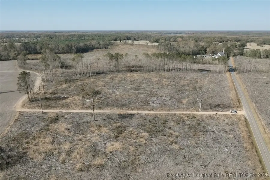 Lot 7 Barnesville Church Road, Orrum, NC 28369 - #3