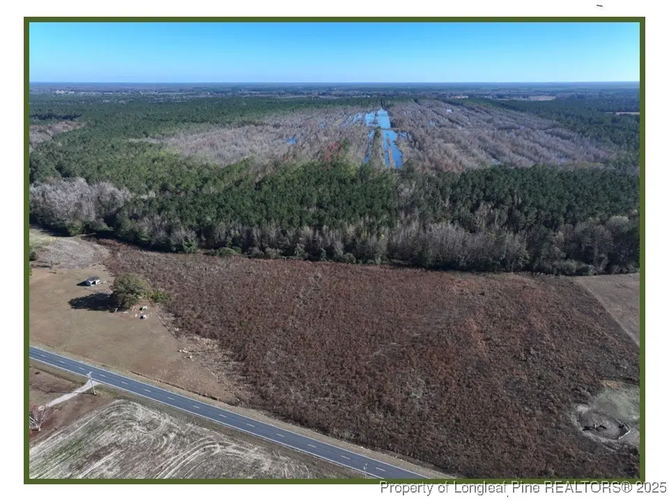 Wire Grass Road, Orrum, NC 28369 - #1