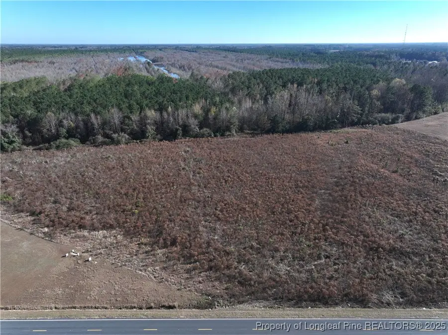 Wire Grass Road, Orrum, NC 28369 - #2