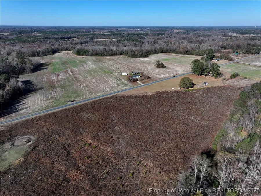 Wire Grass Road, Orrum, NC 28369 - #3
