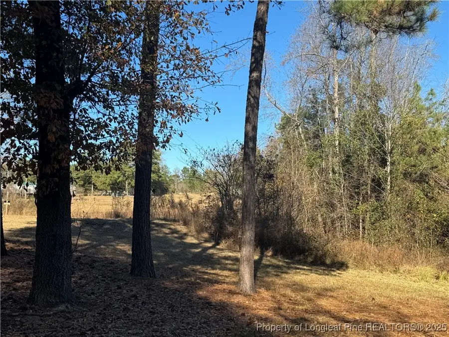 197 Pine Hill Road, West End, NC 27376 - Image #2