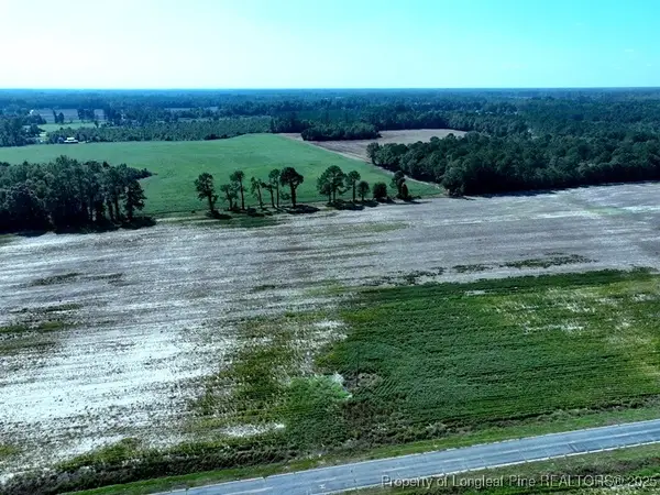 TBD Cowpen Swamp Road, Fairmont, NC 28340
