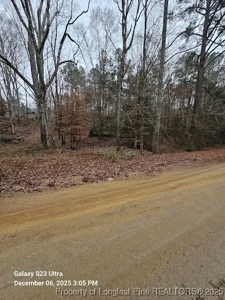 307, 321, 337 Dauphine Street, Fuquay Varina, NC 27526 - #3