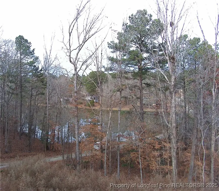 Lot #37 Natchez Trace, Fuquay Varina, NC 27526 - Image #1