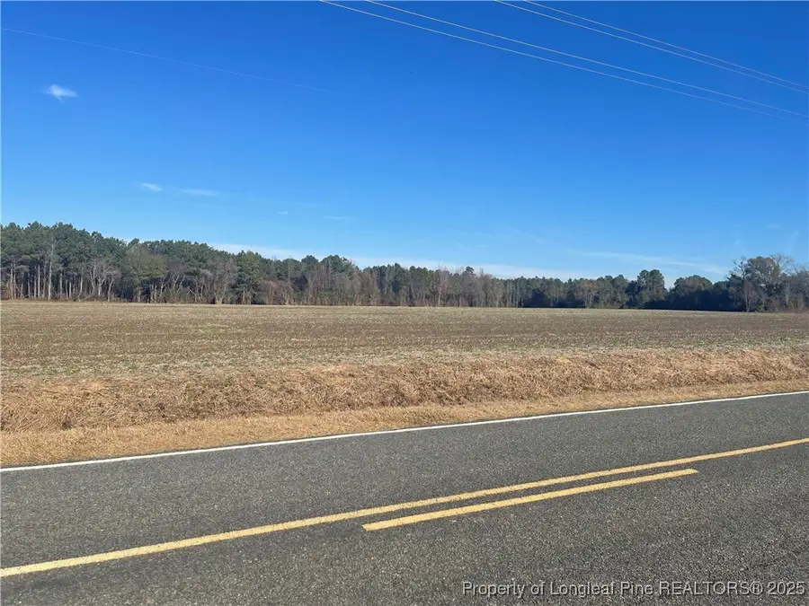 Tobacco Road, Orrum, NC 28369 - #2