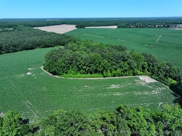 TBD Nc Hwy 71 Highway, Red Springs, NC 28377