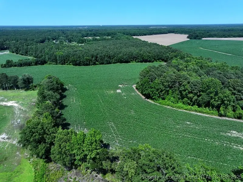 TBD Nc Hwy 71 Highway, Red Springs, NC 28377 - Image #2