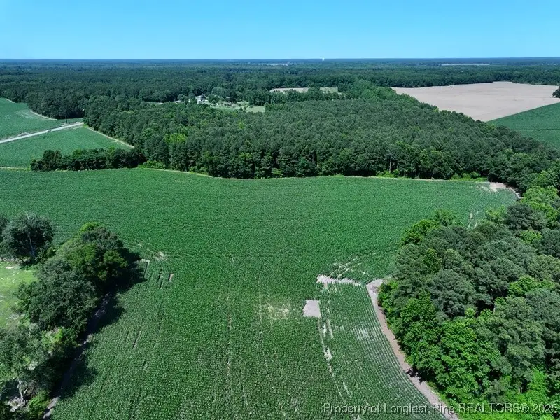 TBD Nc Hwy 71 Highway, Red Springs, NC 28377 - Image #3