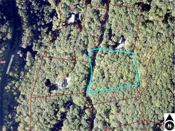 99999 Red Oak Forest Road, Fairview, NC 28730