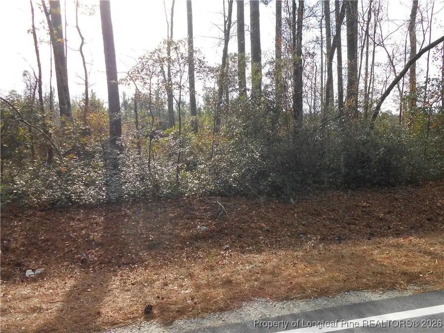 Great Marsh Church Road, Saint Pauls, NC 28384 - #3