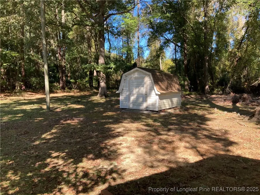 4332 S Robeson Road, Rowland, NC 28383 - #3