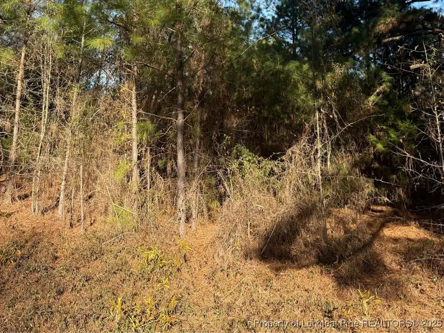 3237 Old Stage Road S, Erwin, NC 28339 - Image #3