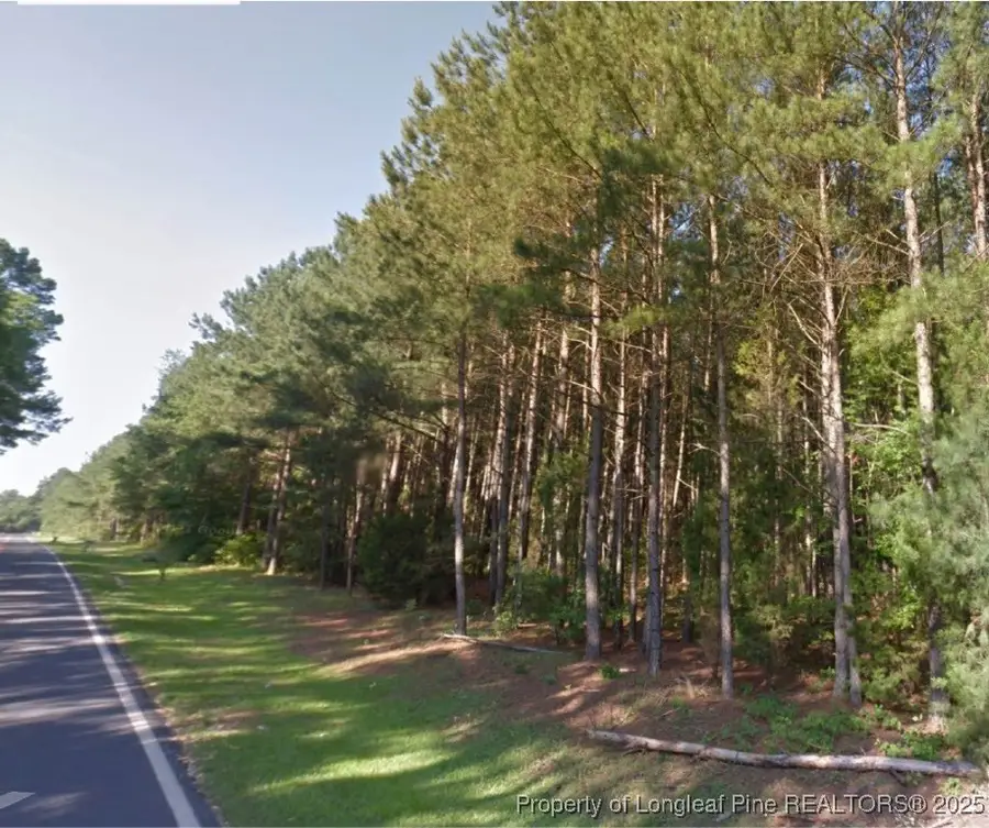 TBD Bostic (lot 10) Road, Laurinburg, NC 28352 - #3