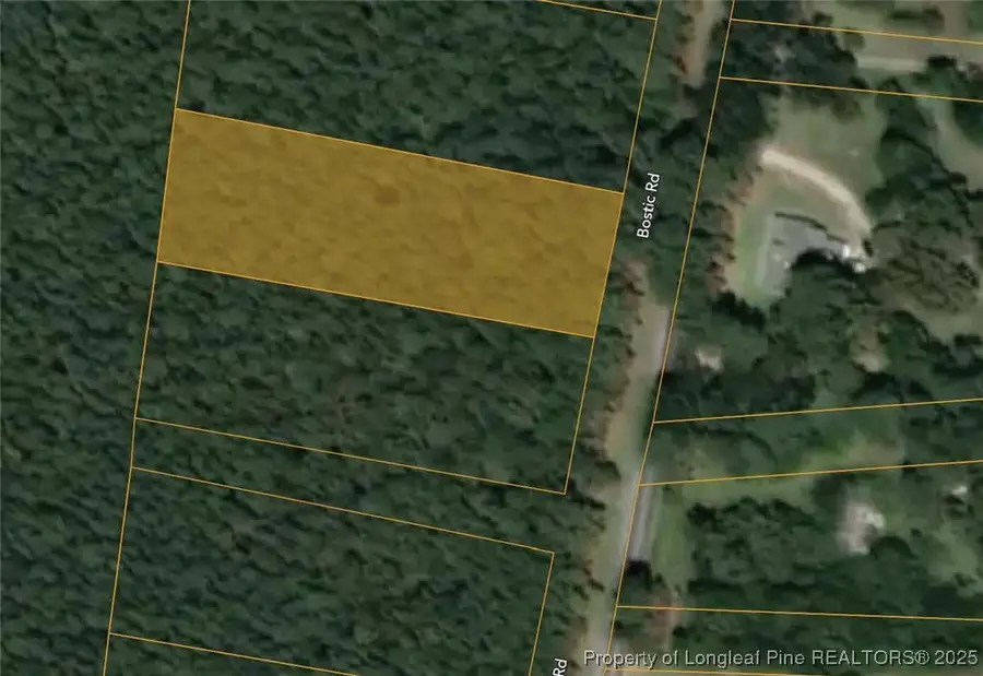 TBD Bostic (lot 9) Road, Laurinburg, NC 28352 - #2