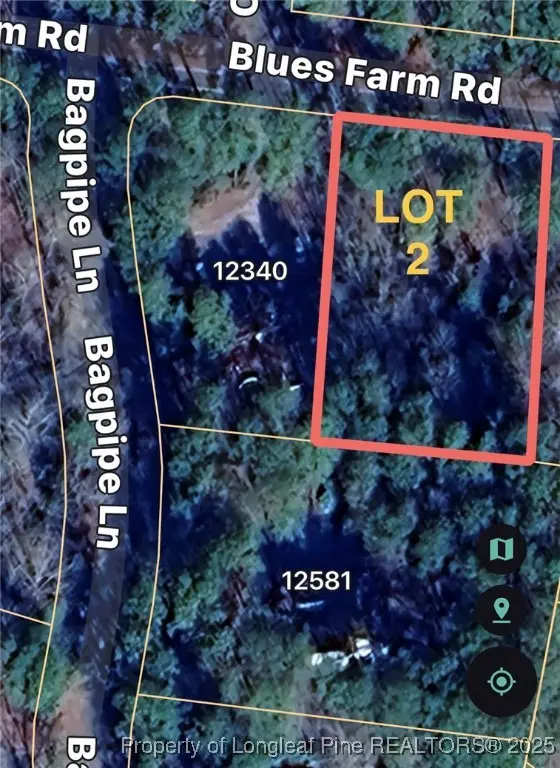TBD Blues Farm (lot 2) Road, Laurinburg, NC 28352 - #1
